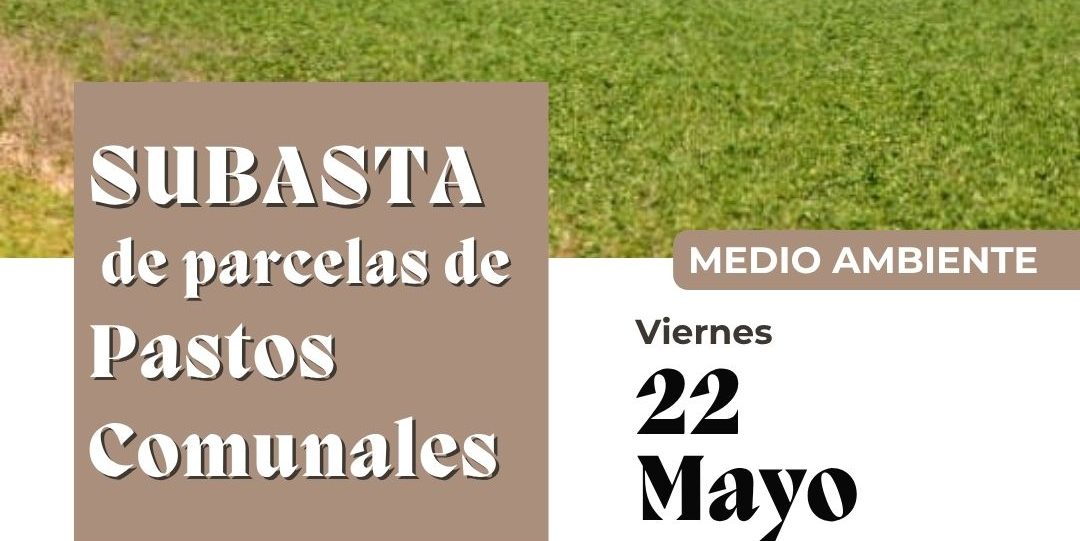Foto noticia
